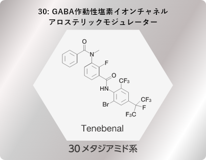 30: GABA作動性 塩素イオンチャネル アロステリックモジュレーター