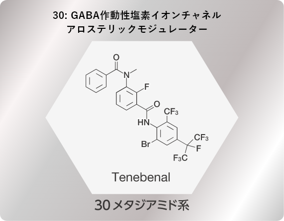 30: GABA作動性 塩素イオンチャネル アロステリックモジュレーター