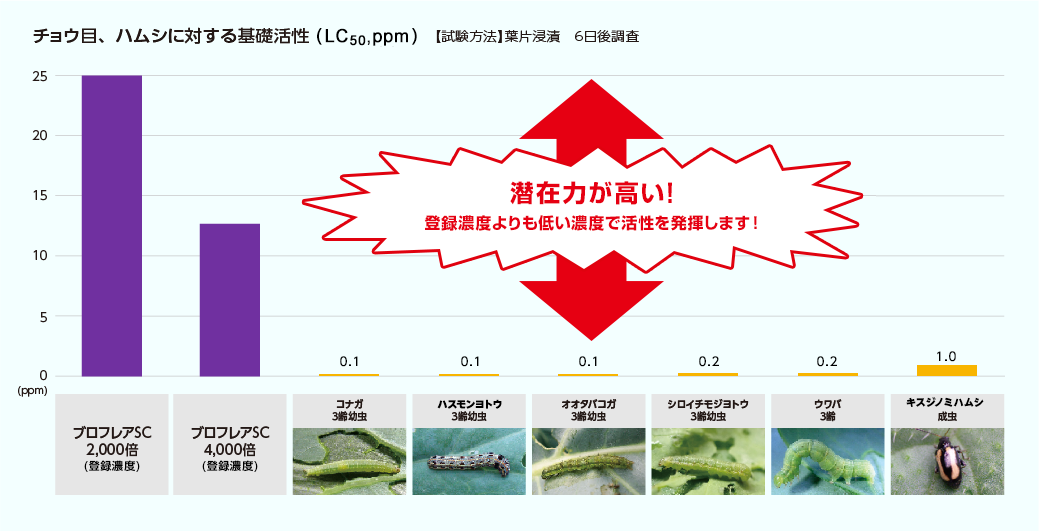 チョウ目・ハムシに対する基礎活性