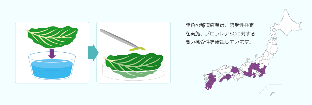 紫色の都道府県は、感受性検定を実施、ブロフレアSCに対する高い感受性を確認しています。