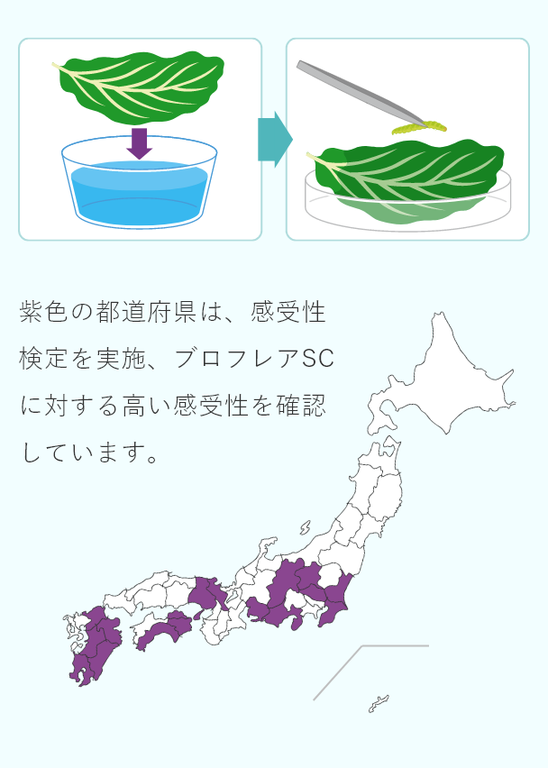 紫色の都道府県は、感受性検定を実施、ブロフレアSCに対する高い感受性を確認しています。