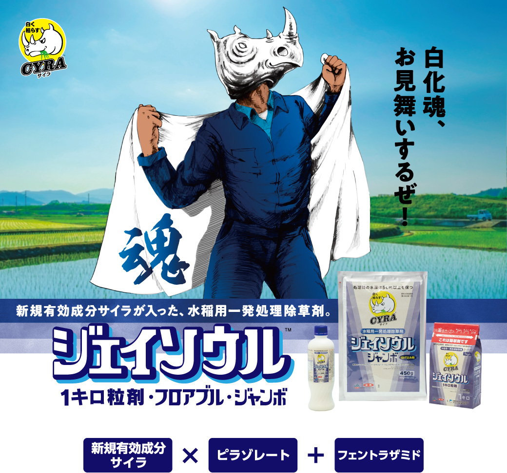 ジェイソウル