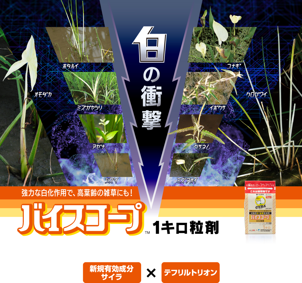 バイスコープ