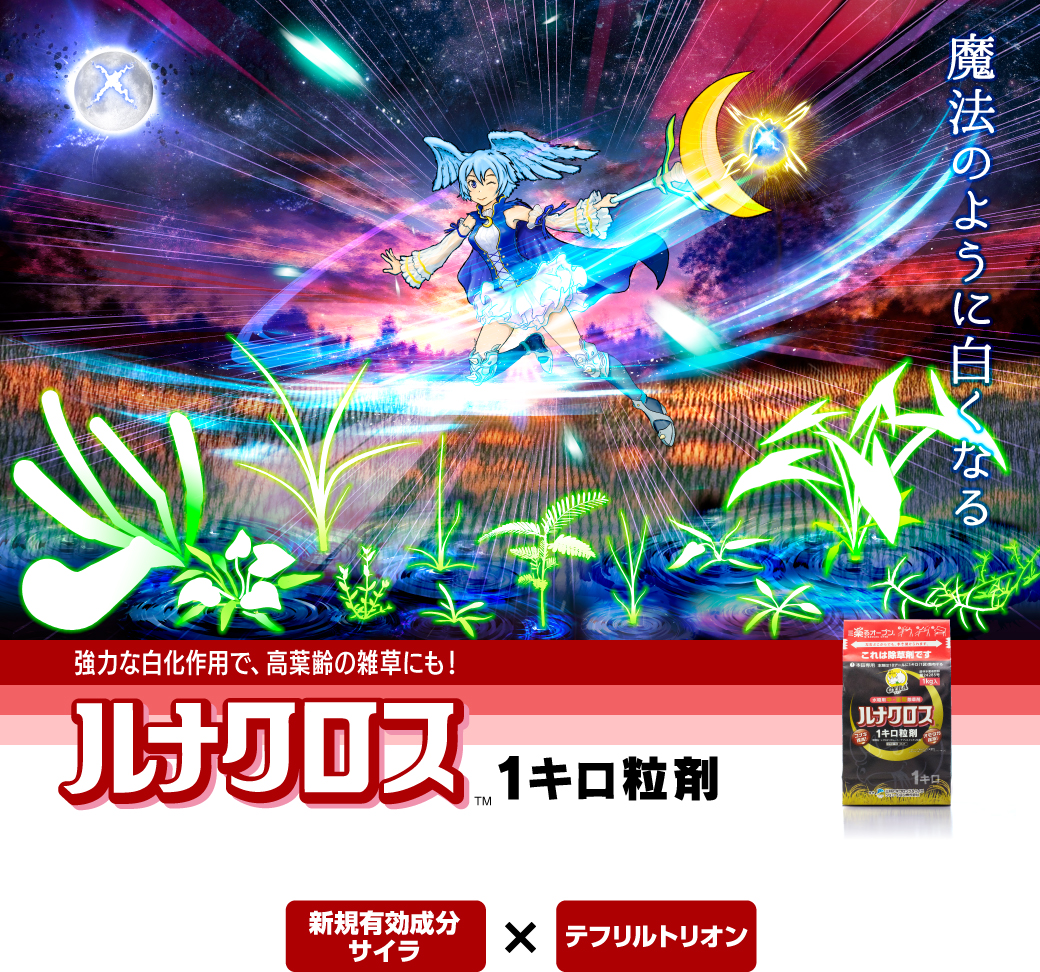 ルナクロス