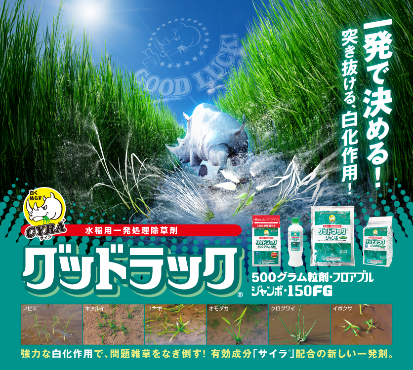グッドラック