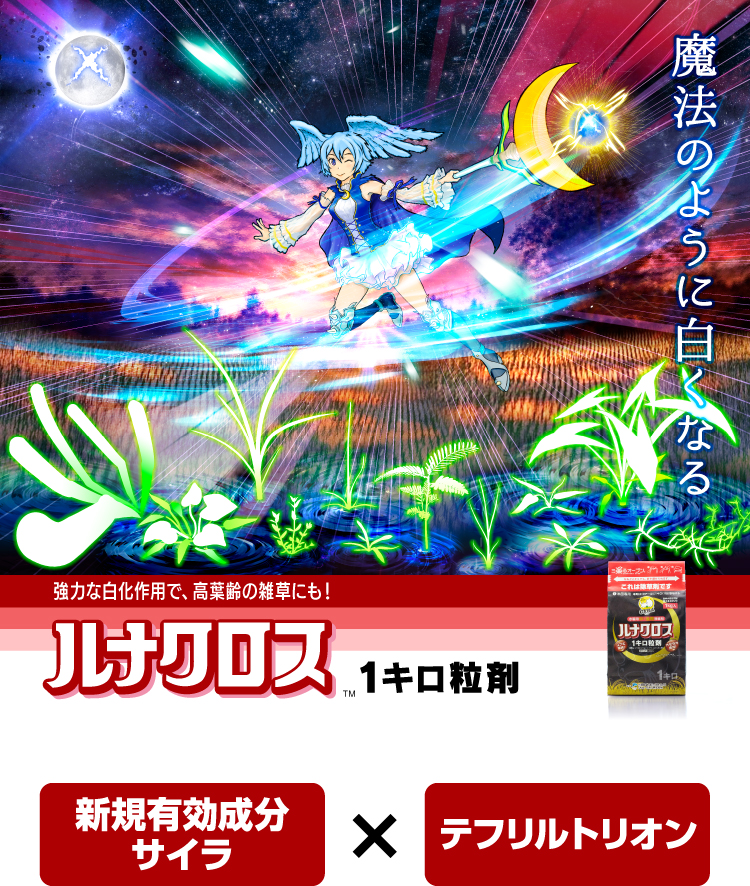 ルナクロス