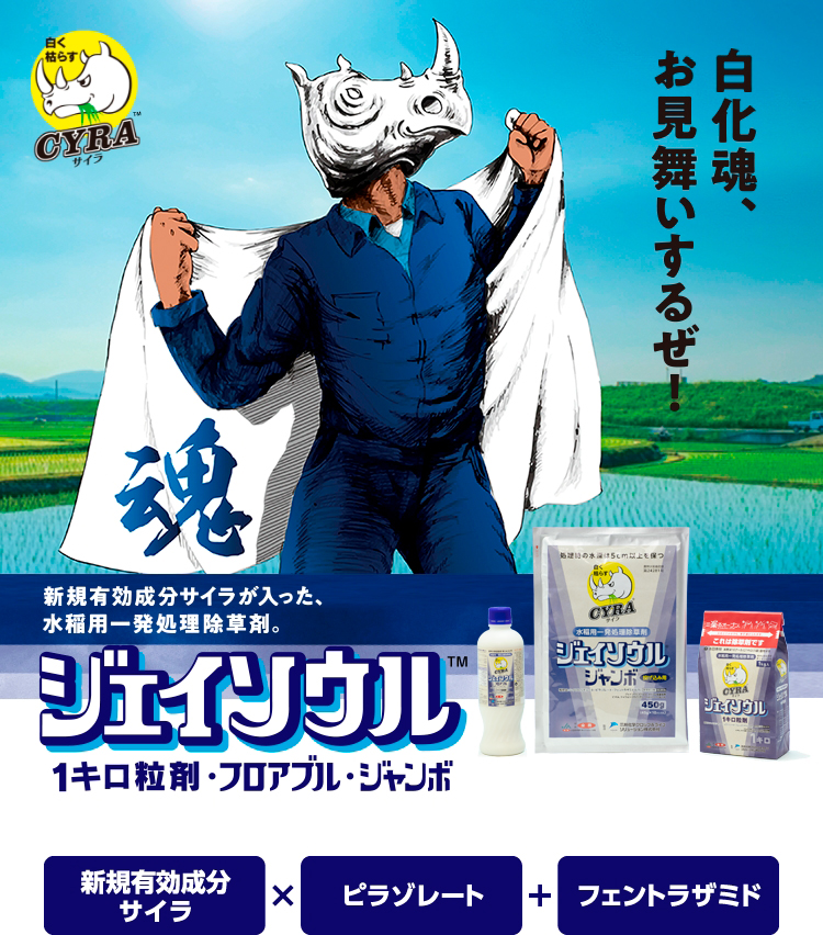 ジェイソウル