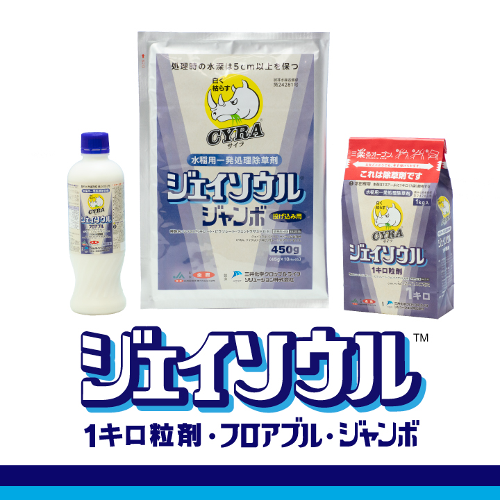 ジェイソウル