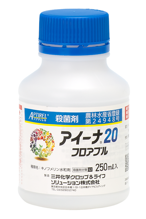 アイーナ20フロアブル