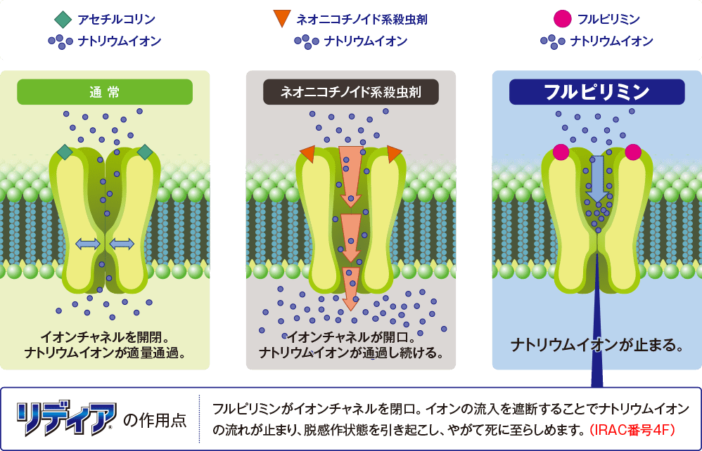 フルピリミン剤の成分・性状・構造式