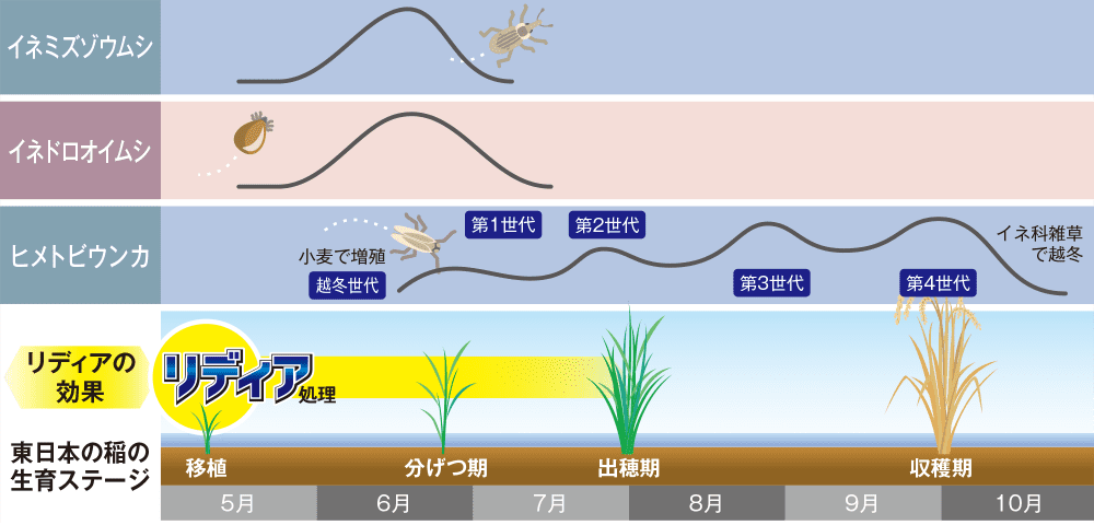 リディア箱粒剤　東日本の害虫発生パターンと残効イメージ図