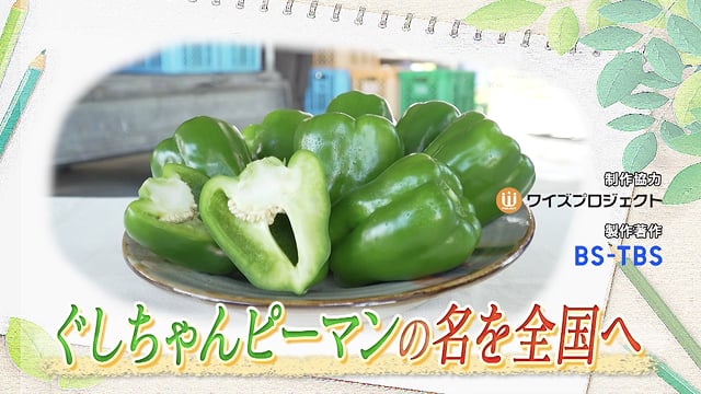 ぐしちゃんピーマンの名を全国へ