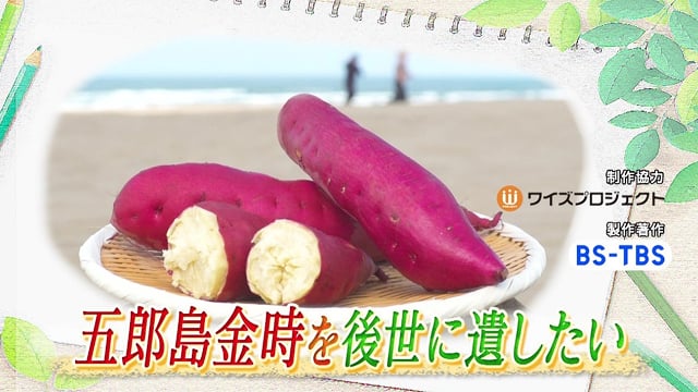五郎島金時を後世に遺したい
