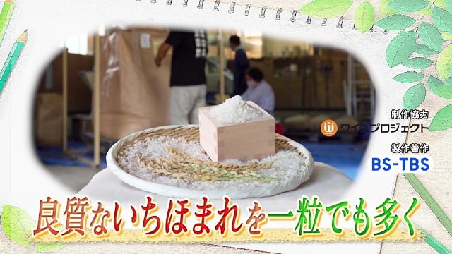 良質ないちほまれを一粒でも多く