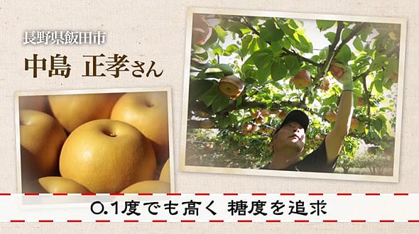 0.1度でも高く 糖度を追及