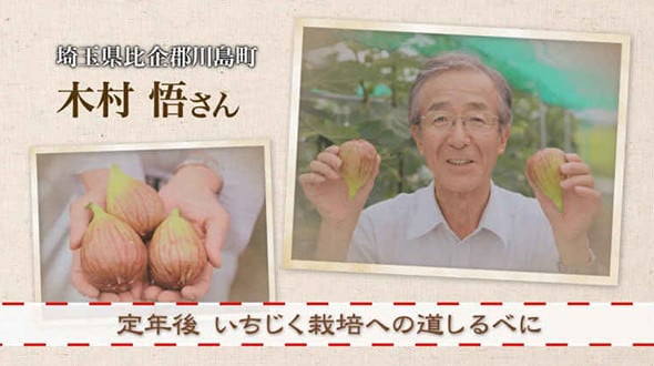 定年後 いちじく栽培への道しるべに