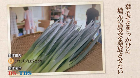葉ネギをきっかけに 地元の農業を発展させたい