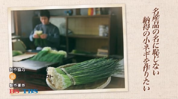 名産品の名に恥じない納得の小ネギを作りたい