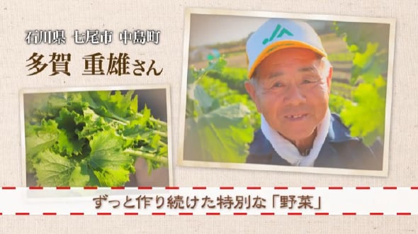 ずっと作り続けた特別な「野菜」