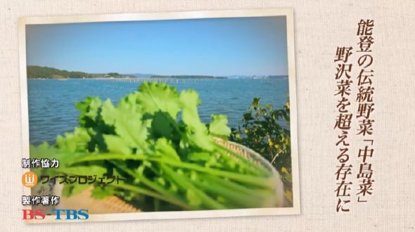 能登の伝統野菜「中島菜」野沢菜を超える存在に