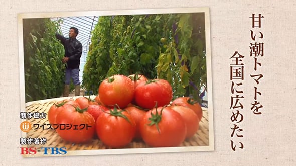 甘い潮トマトを全国に広めたい