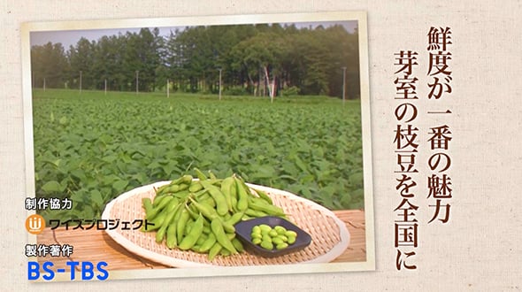 鮮度が一番の魅力　芽室の枝豆を全国に