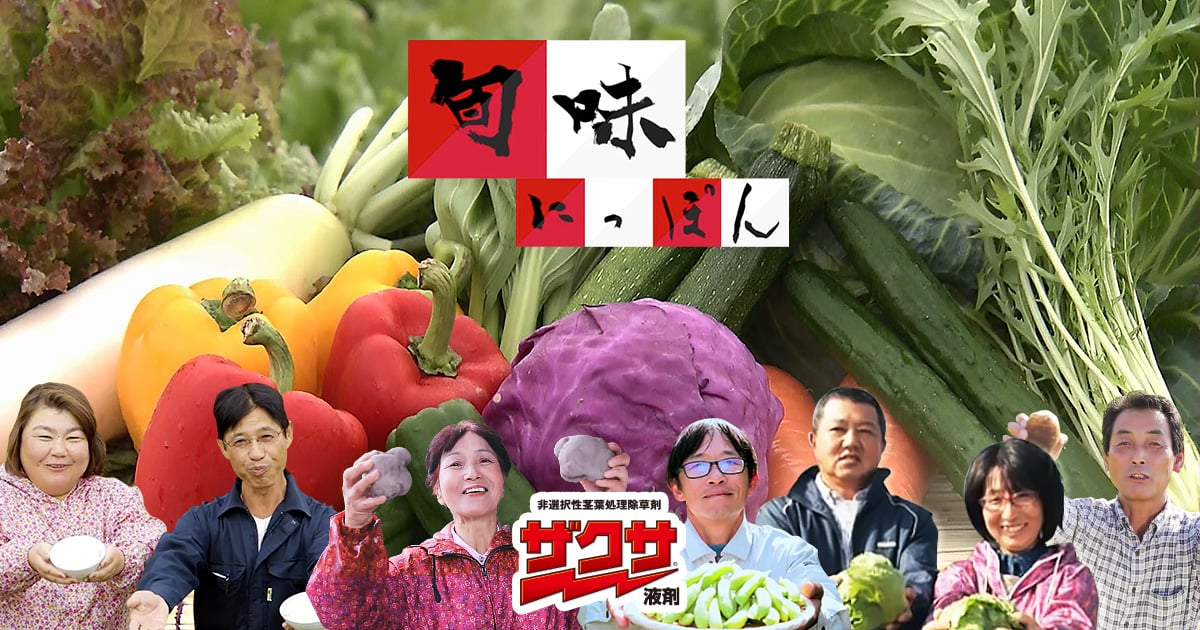 第16回 宮崎県西都市のピーマン | 旬味にっぽん | ザクサ液剤