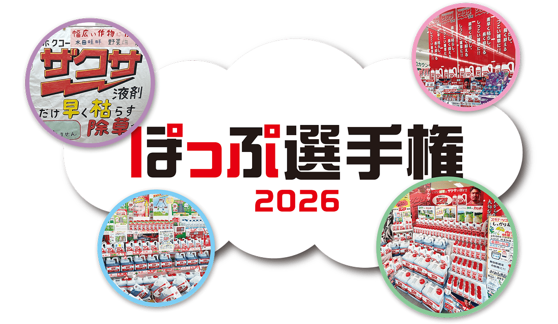 ポップ選手権2026