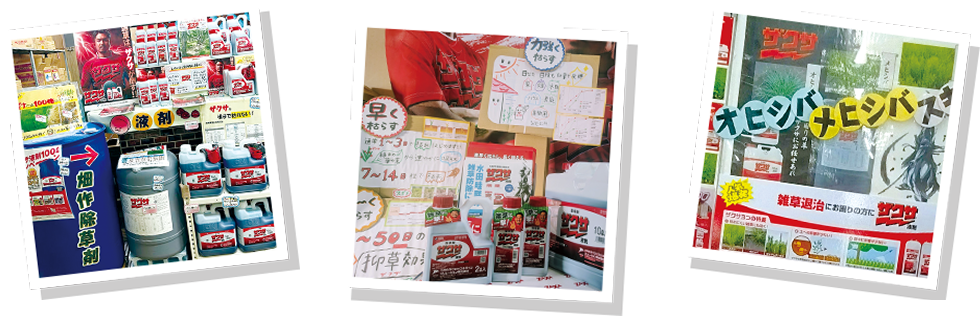 販売店様の大量陳列ディスプレイの様子