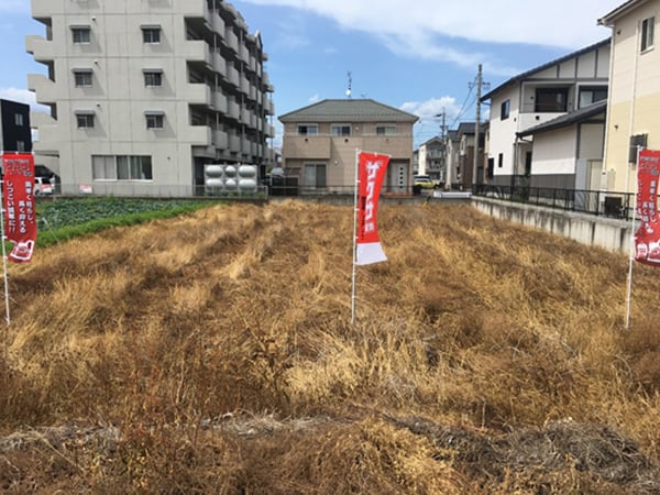 交差点横の圃場