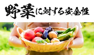 野菜に対する安全性