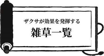 ザクサが効果を発揮する　雑草一覧